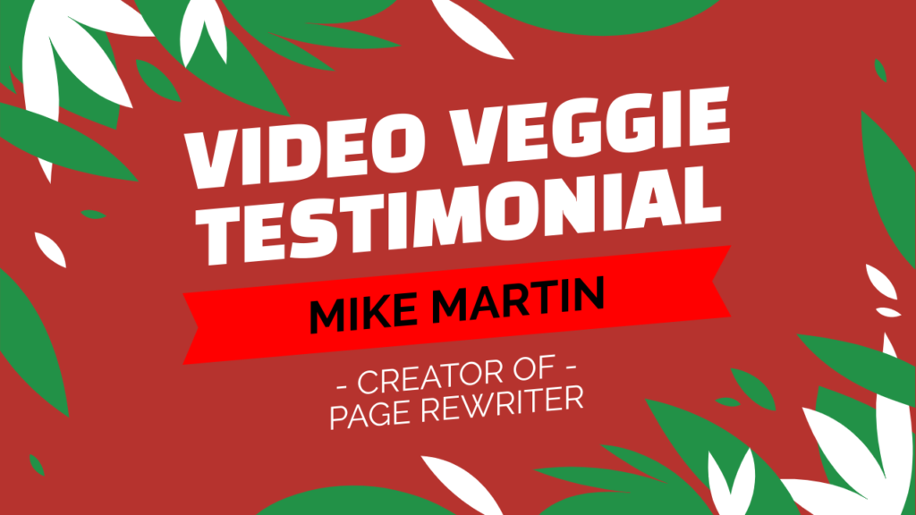 Mike Martin SEO Testimonial on Video Veggie